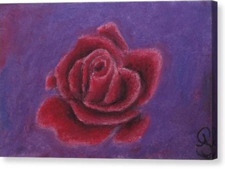 Rosy Rose ~ Canvas Print on Sale