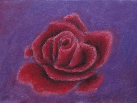 Rosey Rose ~ Art Print Online Hot Sale