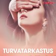 Turvatarkastus Online Hot Sale