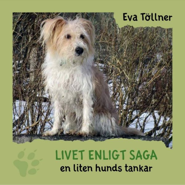 Livet enligt Saga : en liten hunds tankar For Discount