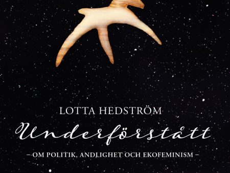 Underförstått : om politik, andlighet och ekofeminism For Cheap